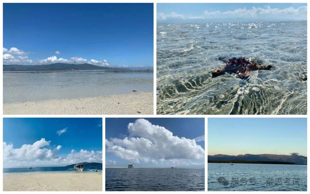 图片13.png 图片13.png