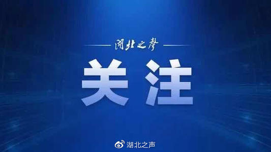 武汉2020年义务教育入学招生政策“七个不变”“三个优化”